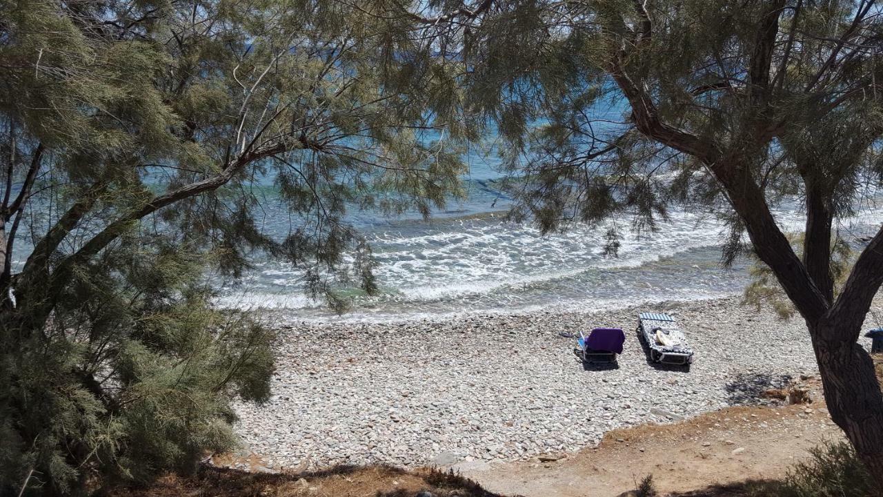 Flora'S Beach And Pool Villa In Syros Liaropá Dış mekan fotoğraf