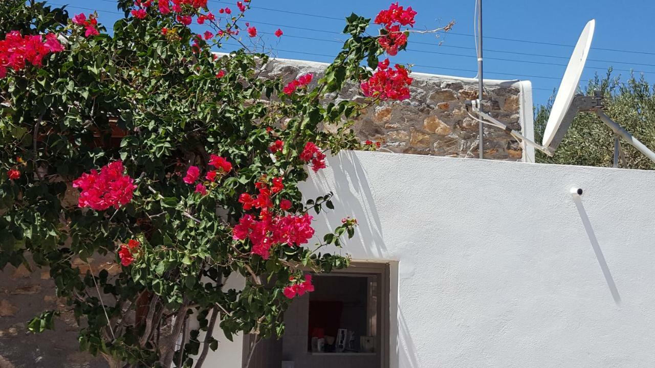 Flora'S Beach And Pool Villa In Syros Liaropá Dış mekan fotoğraf